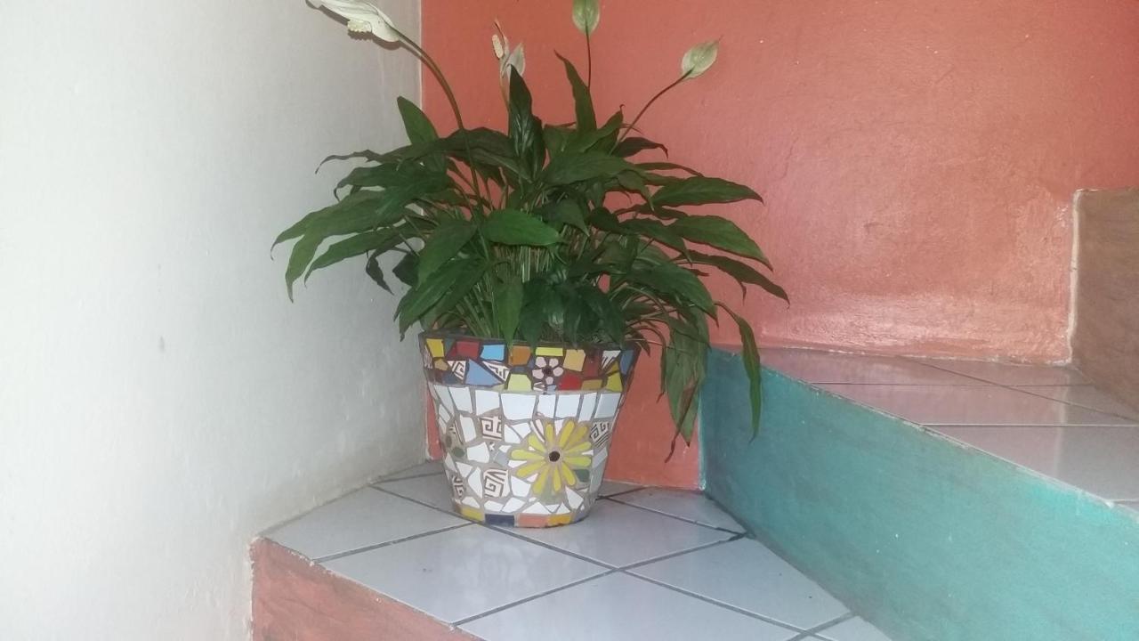 Casa Hostel Mosaicos Dya Флорианополис Экстерьер фото